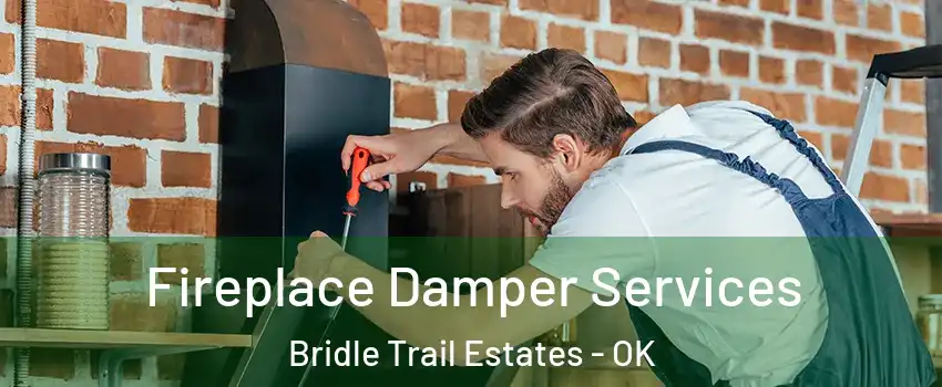 Fireplace Damper Services Bridle Trail Estates - OK