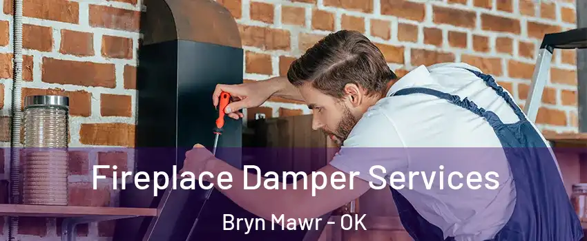 Fireplace Damper Services Bryn Mawr - OK