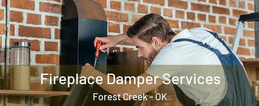 Fireplace Damper Services Forest Creek - OK