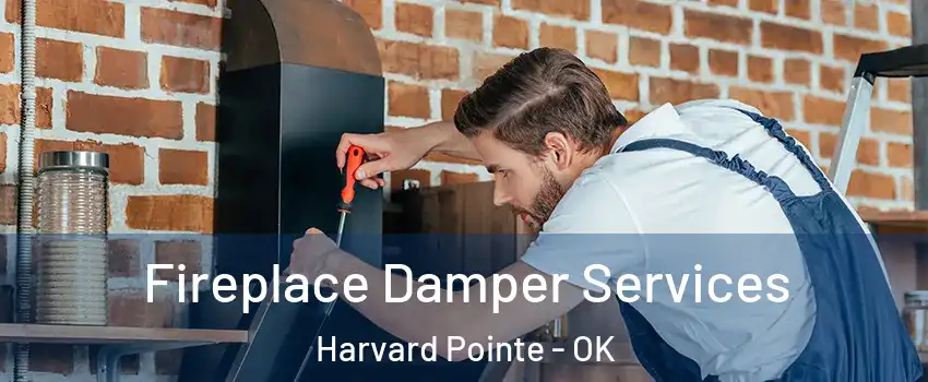 Fireplace Damper Services Harvard Pointe - OK