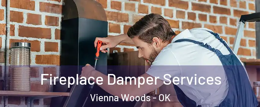 Fireplace Damper Services Vienna Woods - OK
