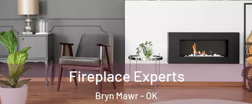 Fireplace Experts Bryn Mawr - OK