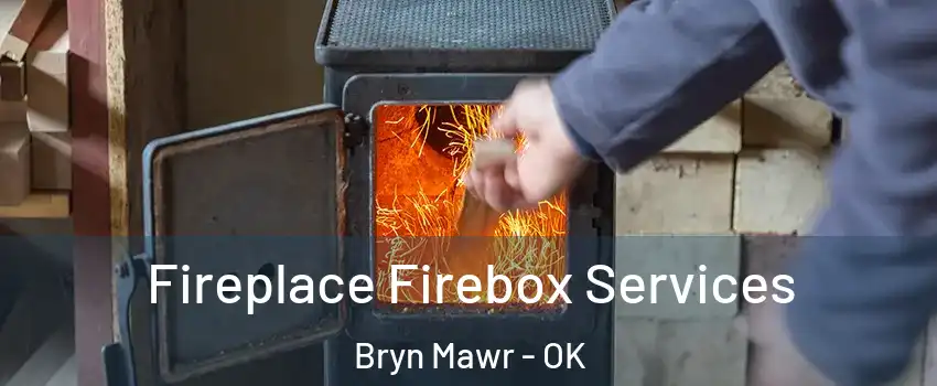 Fireplace Firebox Services Bryn Mawr - OK