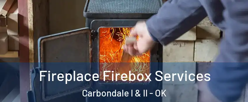 Fireplace Firebox Services Carbondale I & II - OK