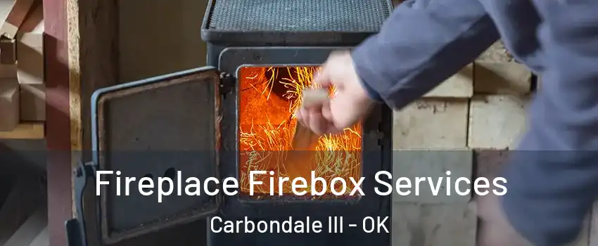 Fireplace Firebox Services Carbondale III - OK