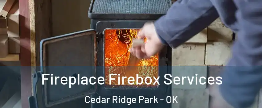 Fireplace Firebox Services Cedar Ridge Park - OK