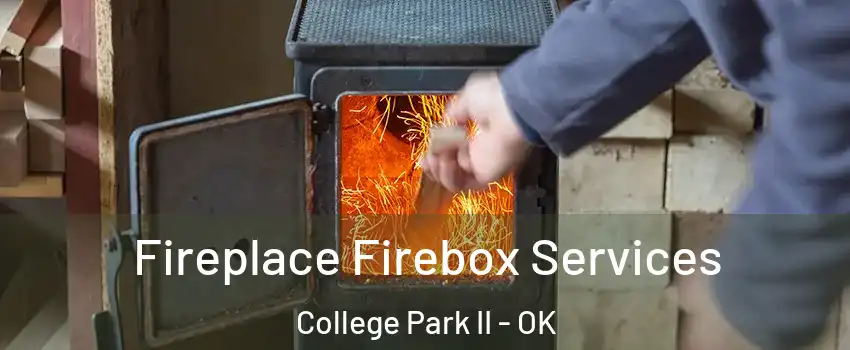 Fireplace Firebox Services College Park II - OK
