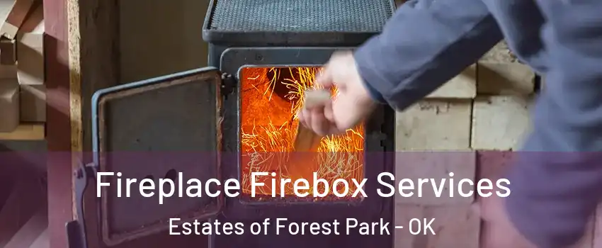 Fireplace Firebox Services Estates of Forest Park - OK