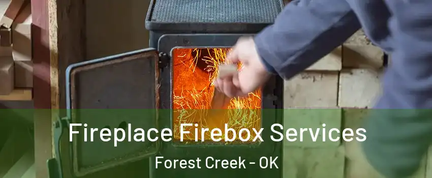 Fireplace Firebox Services Forest Creek - OK