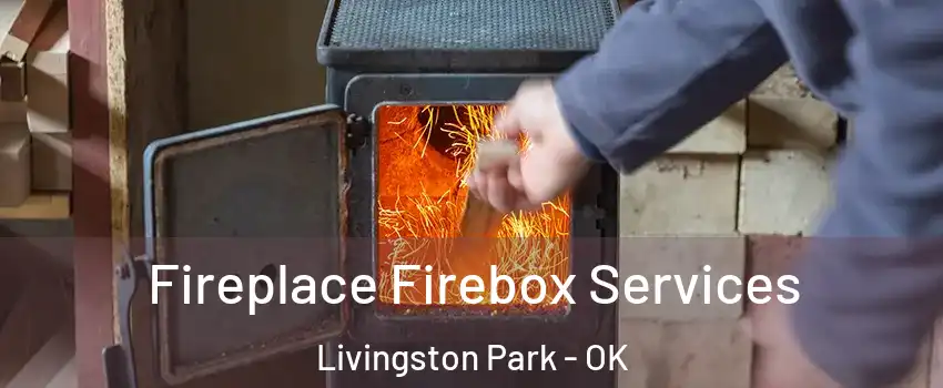 Fireplace Firebox Services Livingston Park - OK