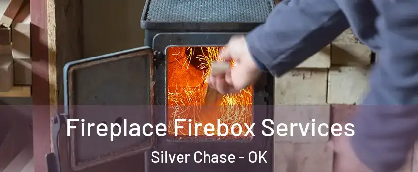 Fireplace Firebox Services Silver Chase - OK