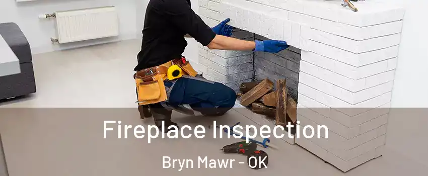 Fireplace Inspection Bryn Mawr - OK