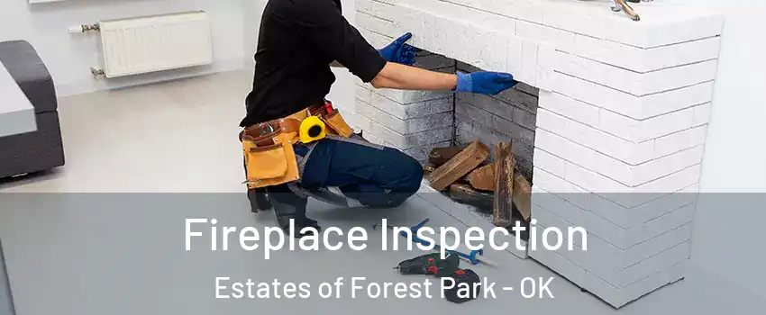 Fireplace Inspection Estates of Forest Park - OK