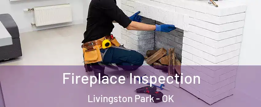 Fireplace Inspection Livingston Park - OK