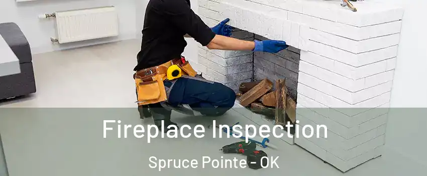 Fireplace Inspection Spruce Pointe - OK