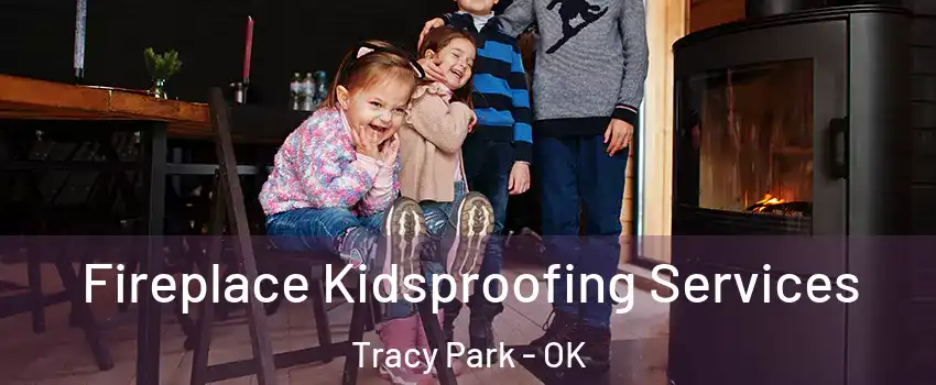 Fireplace Kidsproofing Services Tracy Park - OK