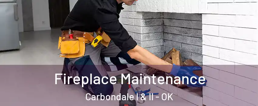 Fireplace Maintenance Carbondale I & II - OK
