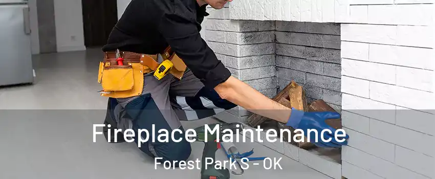 Fireplace Maintenance Forest Park S - OK