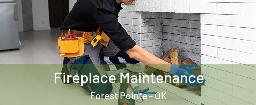 Fireplace Maintenance Forest Pointe - OK