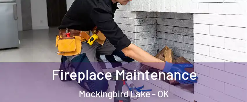 Fireplace Maintenance Mockingbird Lake - OK