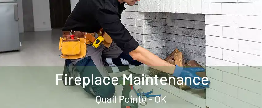 Fireplace Maintenance Quail Pointe - OK