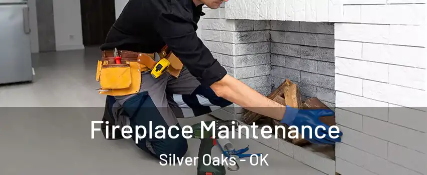 Fireplace Maintenance Silver Oaks - OK