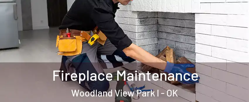 Fireplace Maintenance Woodland View Park I - OK