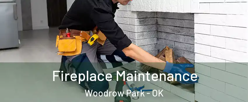 Fireplace Maintenance Woodrow Park - OK