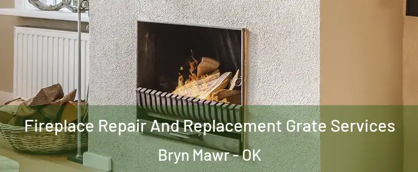 Fireplace Repair And Replacement Grate Services Bryn Mawr - OK