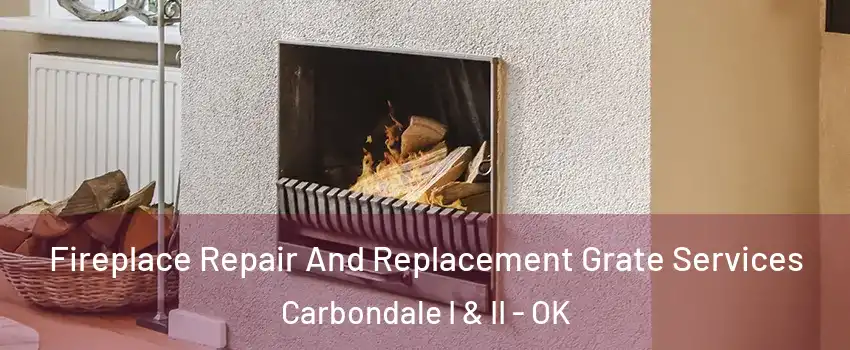 Fireplace Repair And Replacement Grate Services Carbondale I & II - OK