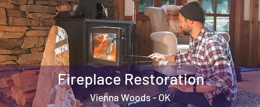 Fireplace Restoration Vienna Woods - OK