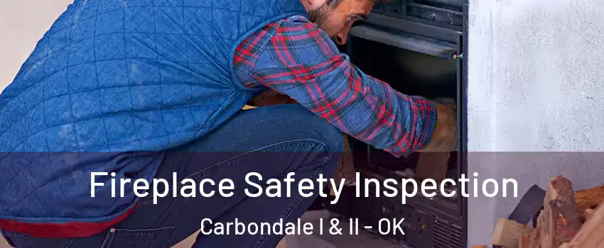 Fireplace Safety Inspection Carbondale I & II - OK