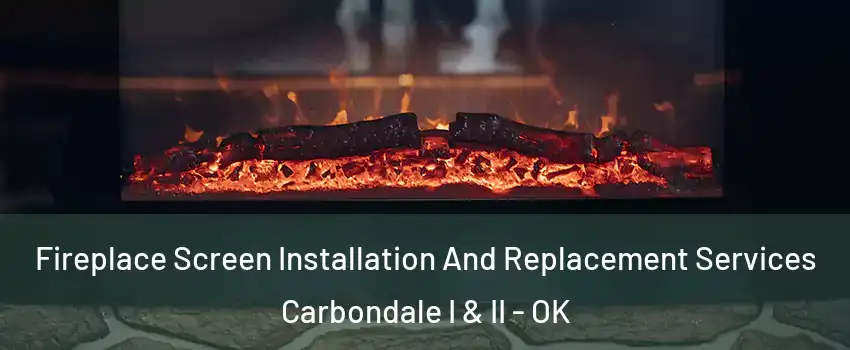 Fireplace Screen Installation And Replacement Services Carbondale I & II - OK