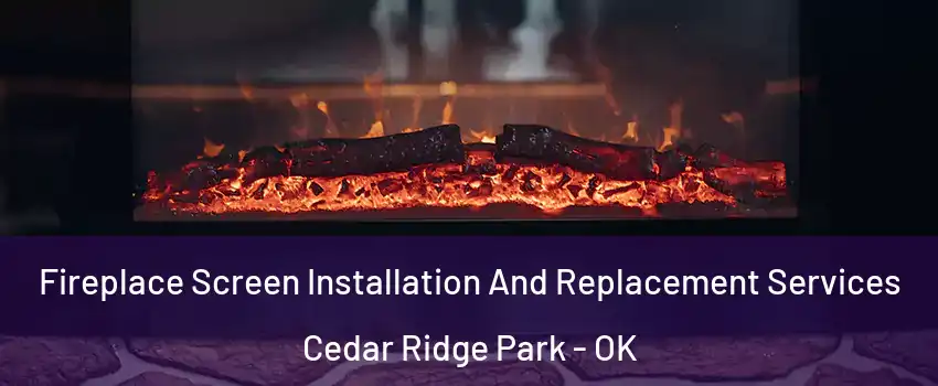 Fireplace Screen Installation And Replacement Services Cedar Ridge Park - OK