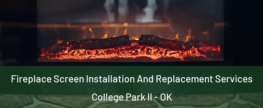 Fireplace Screen Installation And Replacement Services College Park II - OK