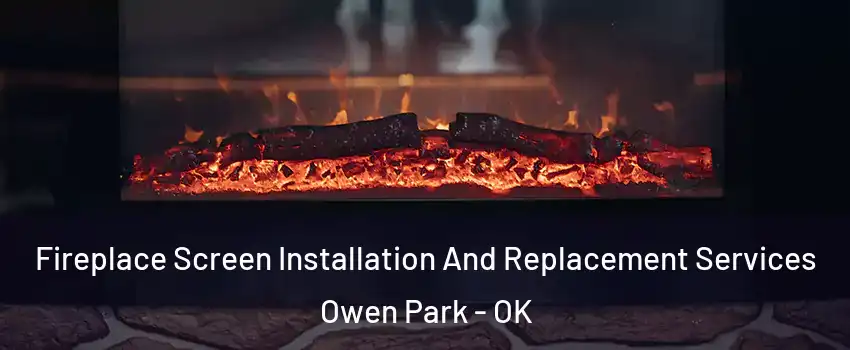 Fireplace Screen Installation And Replacement Services Owen Park - OK