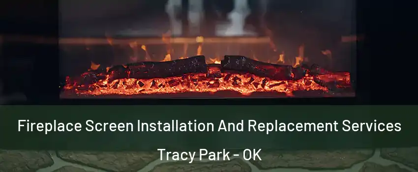 Fireplace Screen Installation And Replacement Services Tracy Park - OK
