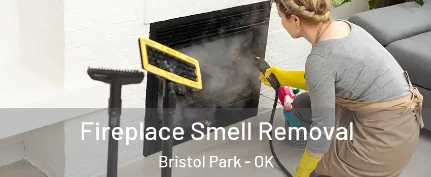 Fireplace Smell Removal Bristol Park - OK