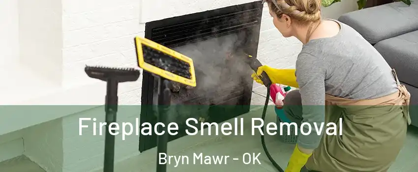 Fireplace Smell Removal Bryn Mawr - OK
