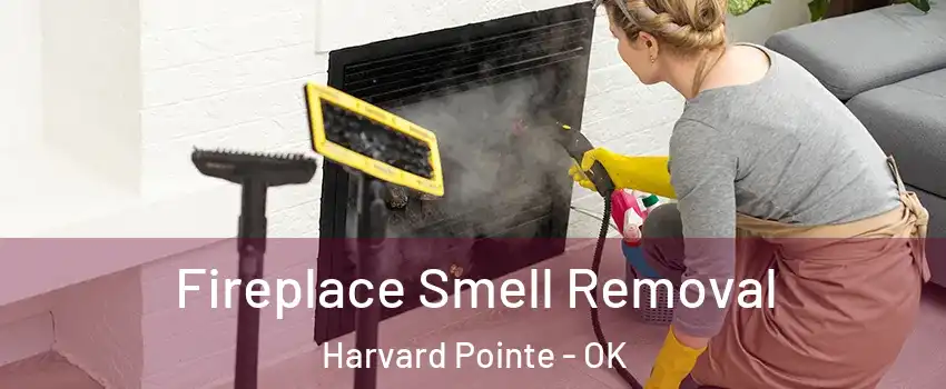 Fireplace Smell Removal Harvard Pointe - OK