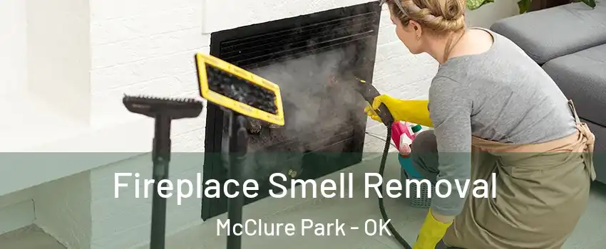Fireplace Smell Removal McClure Park - OK