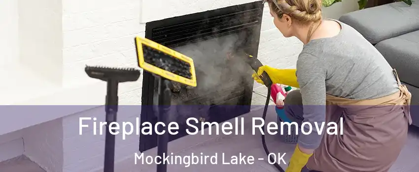 Fireplace Smell Removal Mockingbird Lake - OK