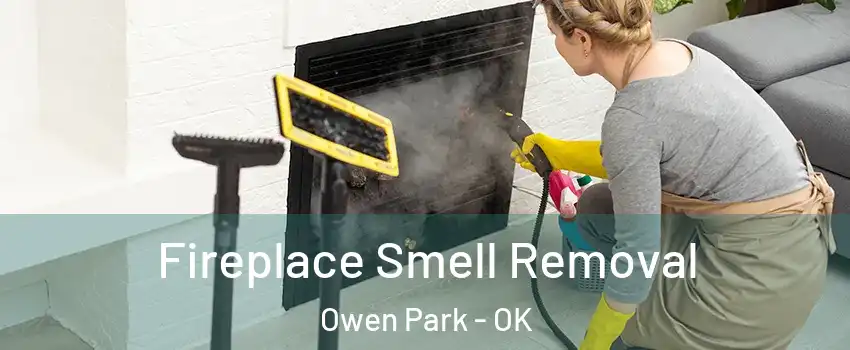 Fireplace Smell Removal Owen Park - OK