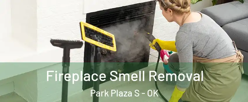 Fireplace Smell Removal Park Plaza S - OK