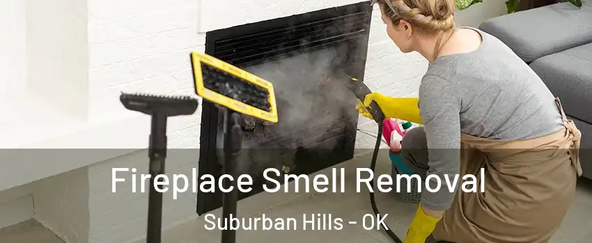 Fireplace Smell Removal Suburban Hills - OK