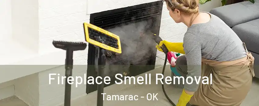 Fireplace Smell Removal Tamarac - OK