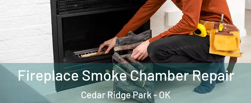 Fireplace Smoke Chamber Repair Cedar Ridge Park - OK
