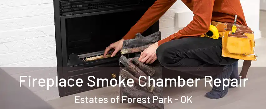 Fireplace Smoke Chamber Repair Estates of Forest Park - OK