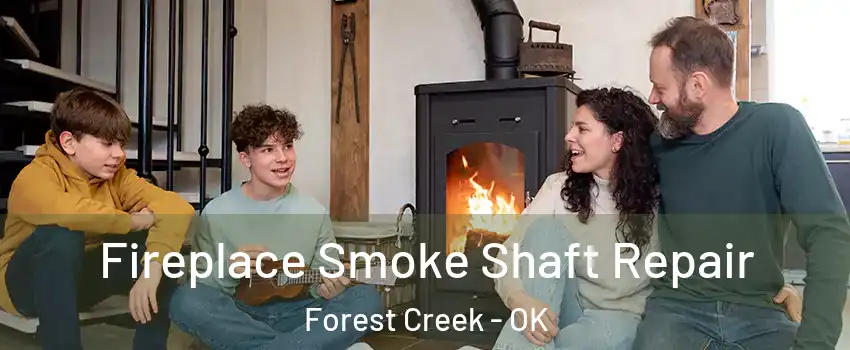 Fireplace Smoke Shaft Repair Forest Creek - OK