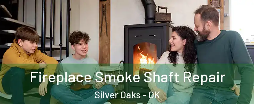 Fireplace Smoke Shaft Repair Silver Oaks - OK